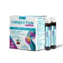 كولاجيكا فورت