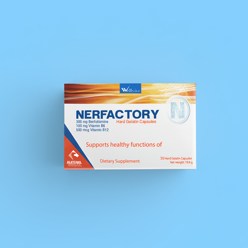 [Ner-Fact] نيرفاكتوري